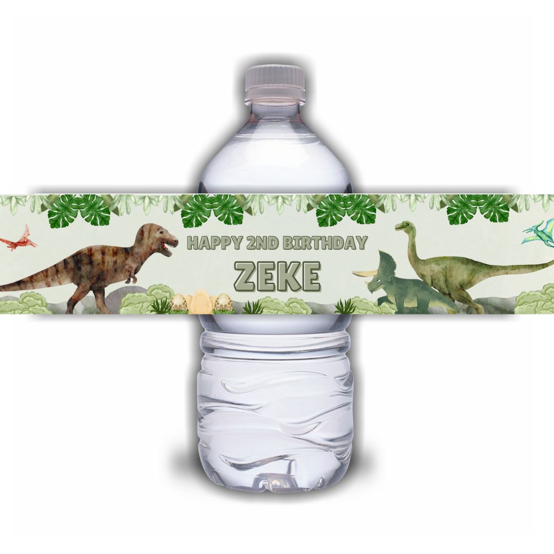 Juice Bottle Labels | Dinosaur Labels, Dinosaur Stickers | Water Bottle Stickers | Dinosaur Party | Party Stickers