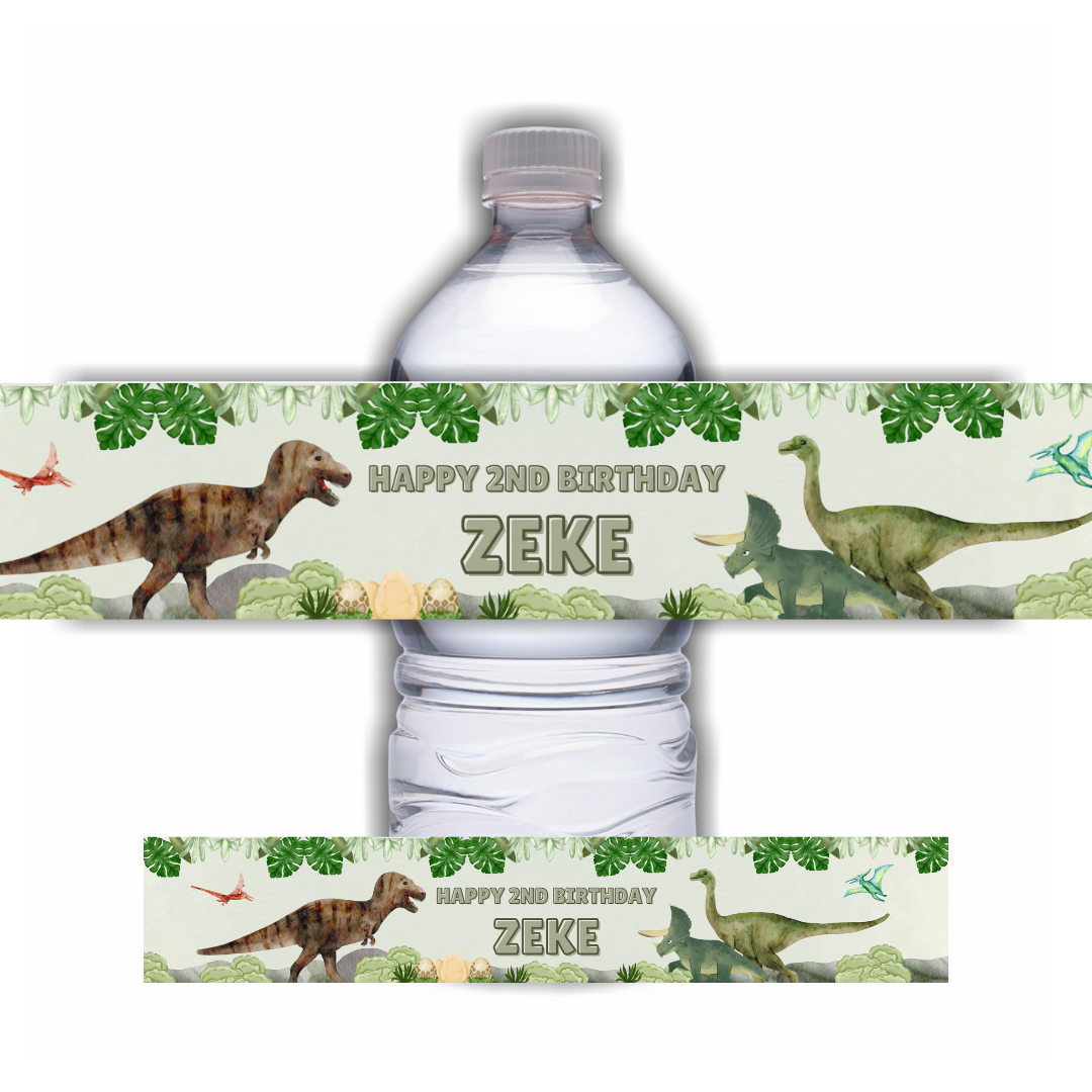 Juice Bottle Labels | Dinosaur Labels, Dinosaur Stickers | Water Bottle Stickers | Dinosaur Party | Party Stickers