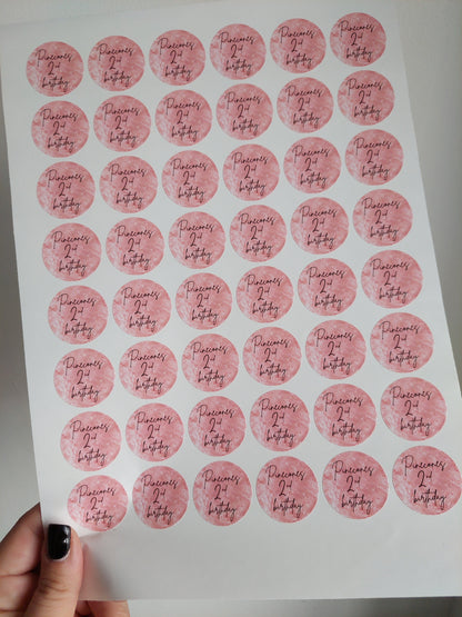 Blush Pink Birthday Stickers | Various Sizes | Birthday Party Supplies